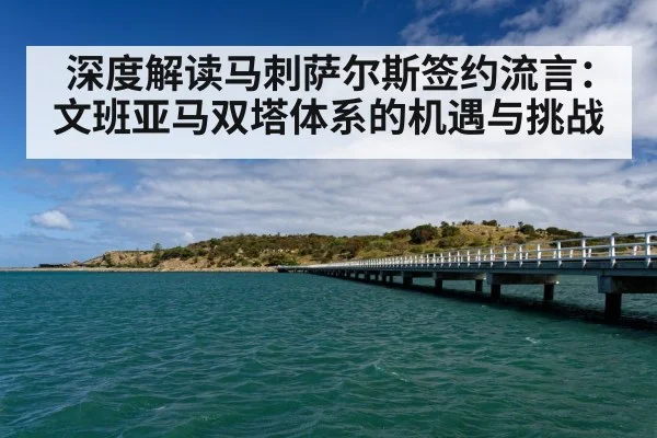深度解读马刺萨尔斯签约流言：文班亚马双塔体系的机遇与挑战（nine game）